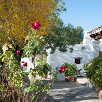 Finca Aleece