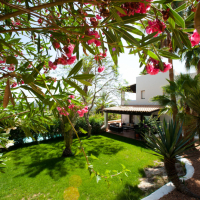 Can Buganvilla