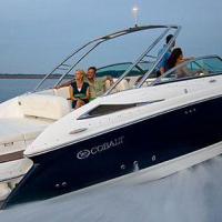Cobalt 303