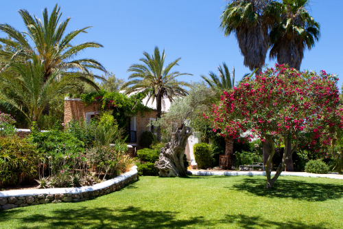 Can Buganvilla