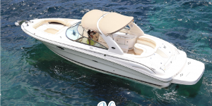 SeaRay 290 BowRider N1