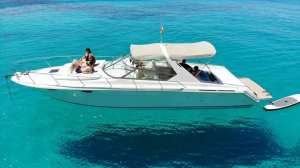 SeaRay SunSport IceIceBaby