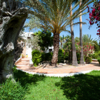 Can Buganvilla
