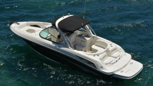 SeaRay 300SLX FlipFlops
