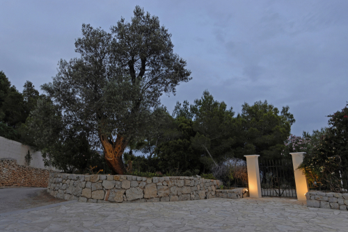 Vista S'Estanyol